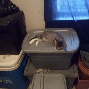 Meet your Posher, Vickie